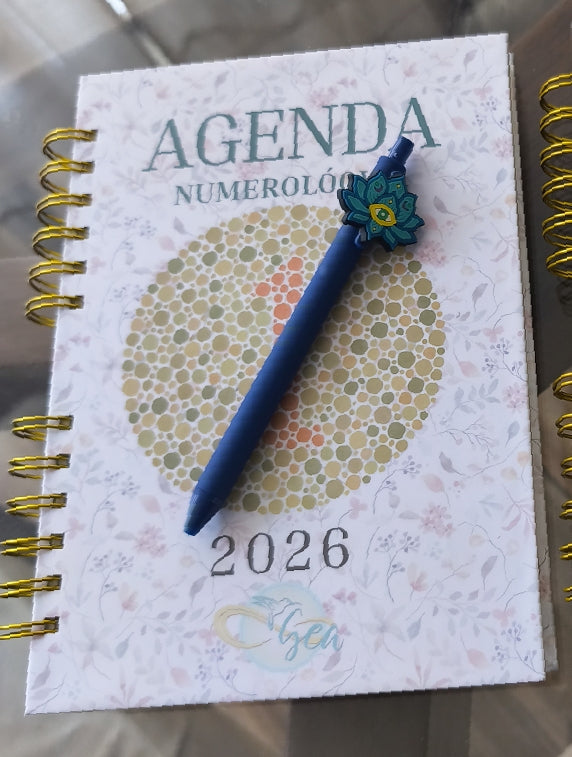 Kit y box numerológico